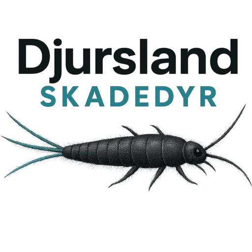 Skægkræbekæmper / Djursland Skadedyr
