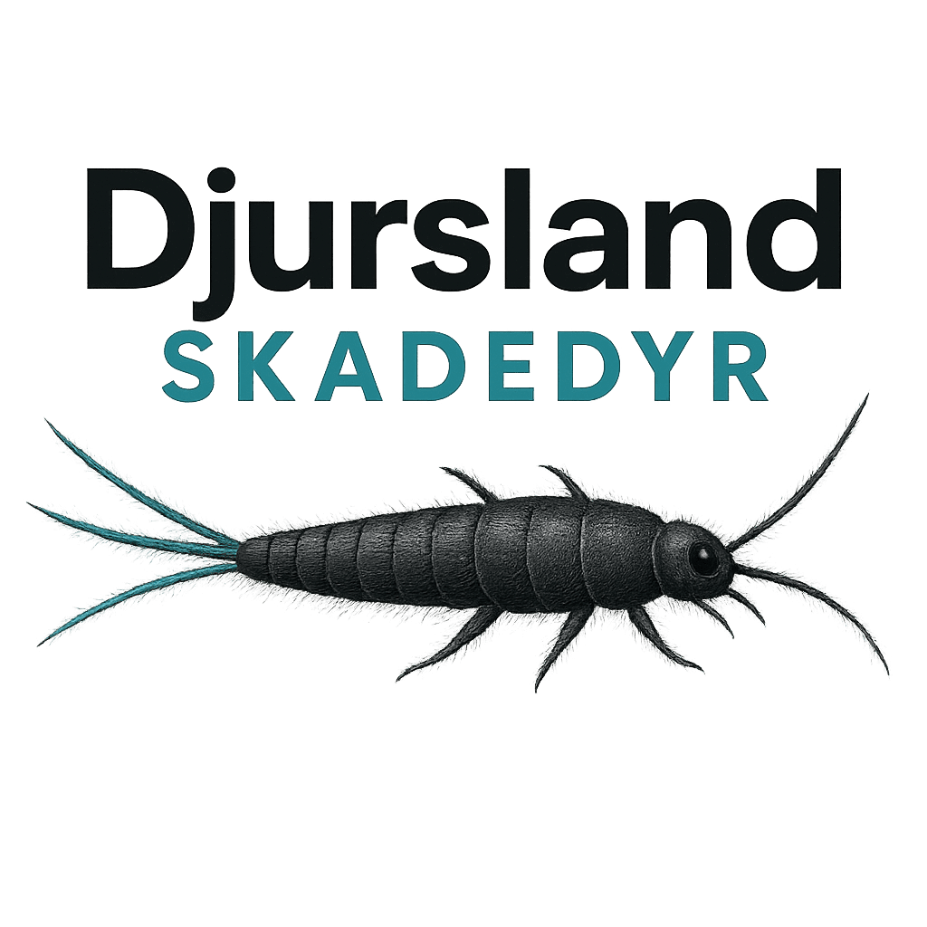 Skægkræbekæmper – professionel bekæmpelse af skægkræ Titel: