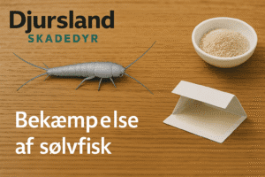 Illustration af professionel bekæmpelse af sølvfisk i en bolig.