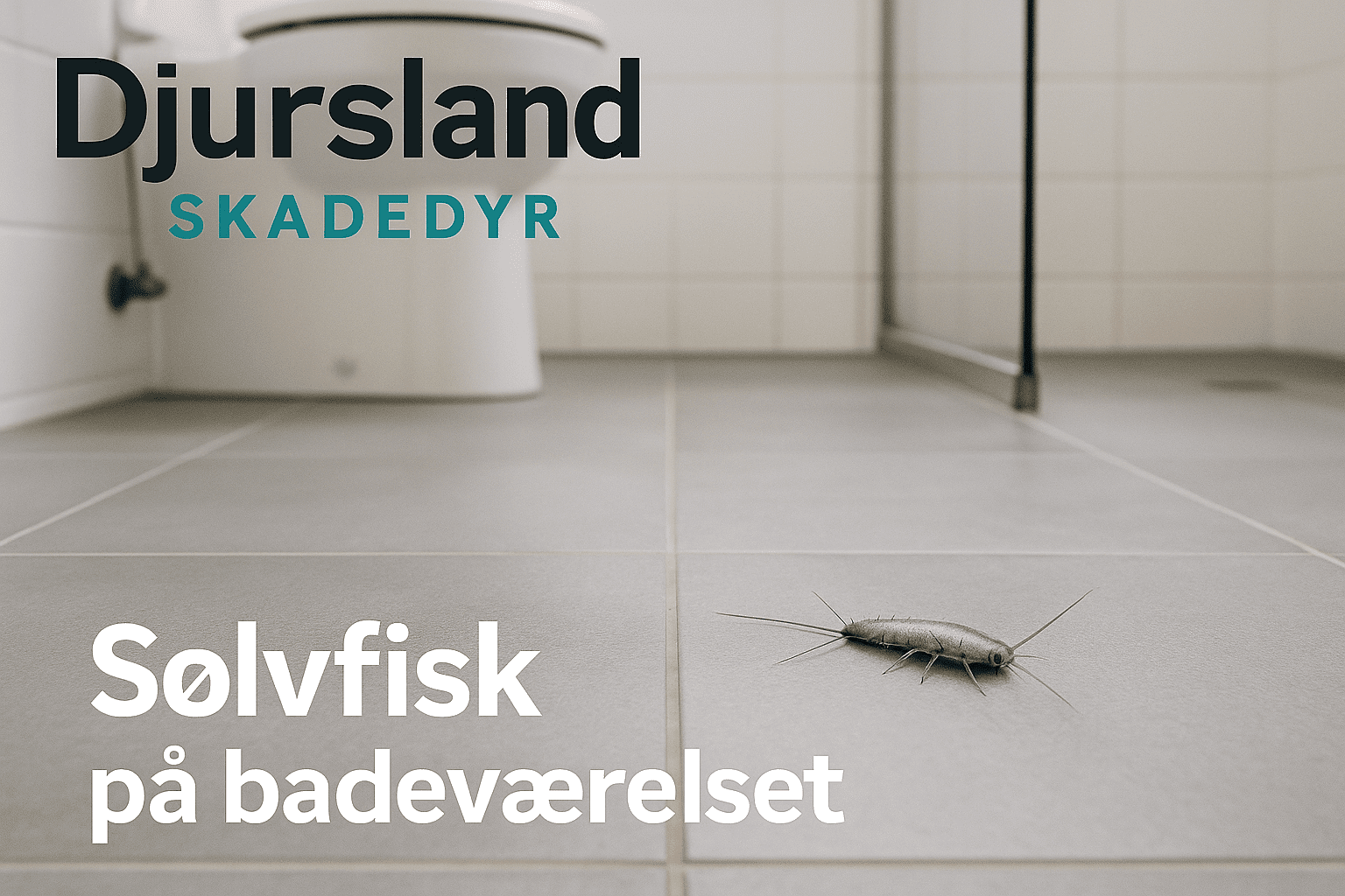 Sølvfisk på badeværelset ved fuger, afløb og skabe i et fugtigt miljø.