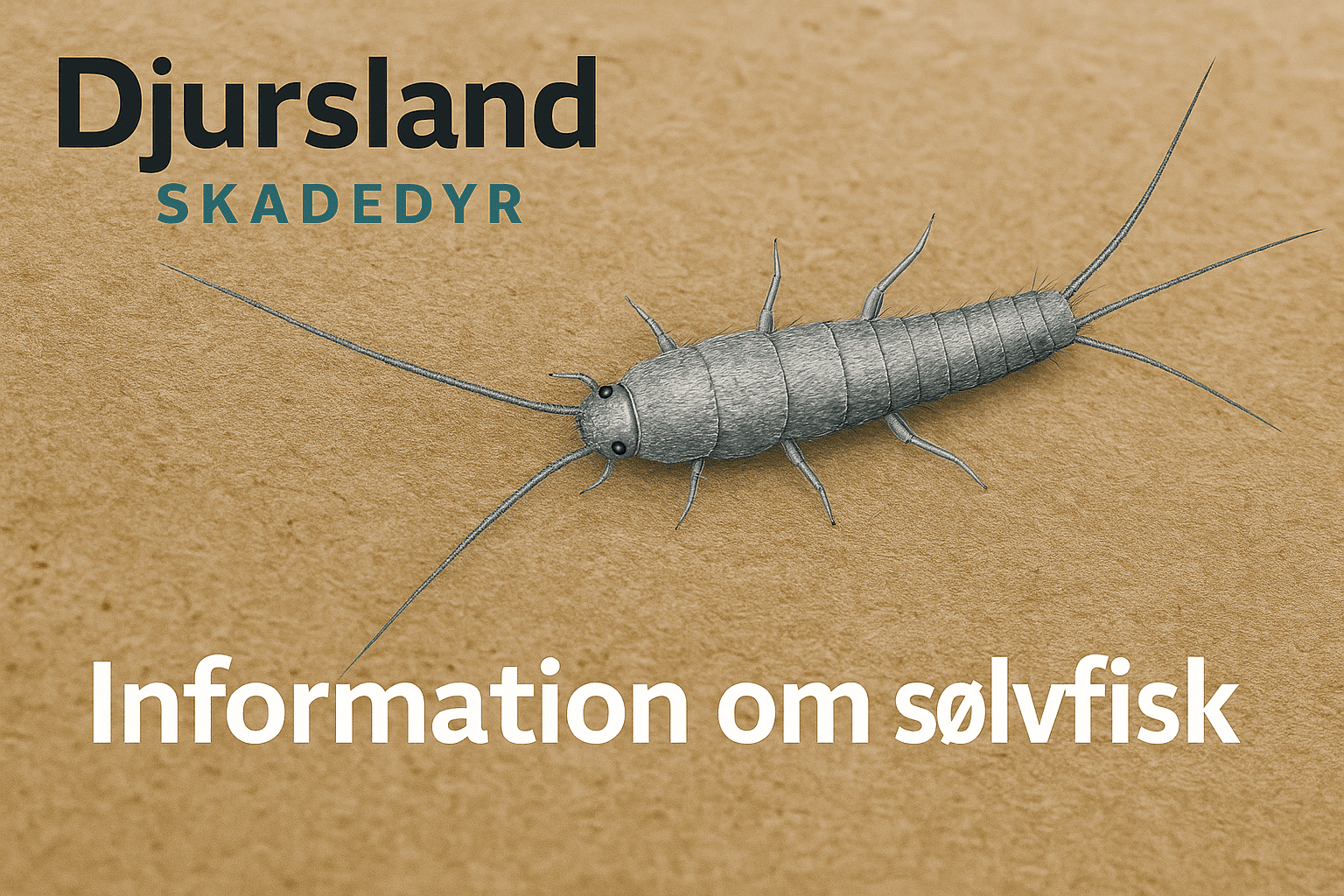 Informationsgrafik om sølvfisk med fakta om levevis, skjulesteder, skader og forebyggelse.