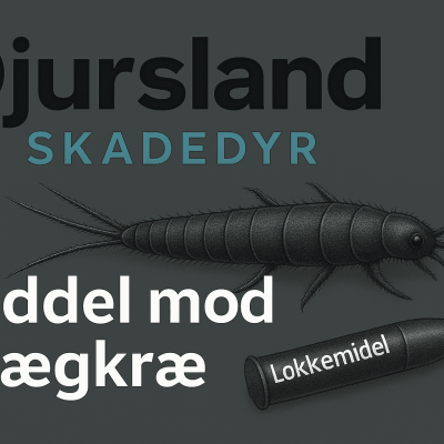 Illustration af forskellige midler og metoder til bekæmpelse af skægkræ.