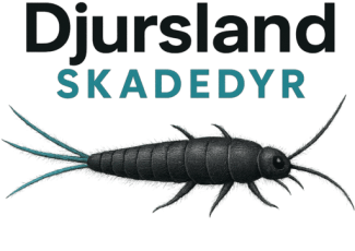 bekæmpelse af skægkræ